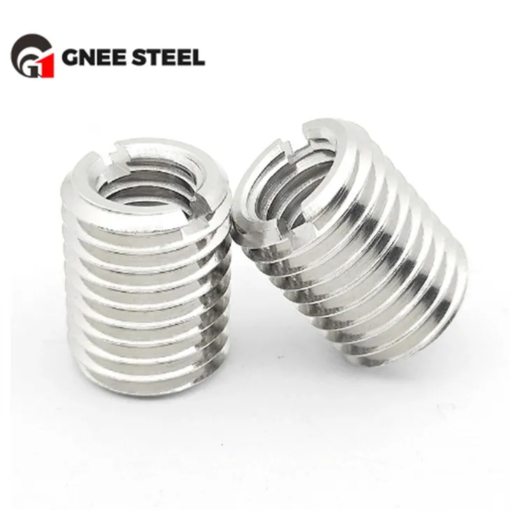 Cruach Dhosmálta SS304 SS316 Cuir Cnónna isteach